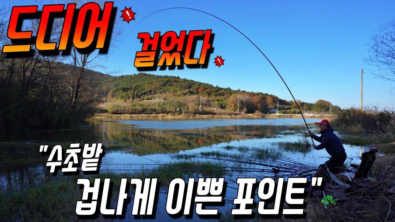 에~ 라 ~ 오늘은 글럿다 했더니.이게 뭔일이지 ㅎㅎㅎ