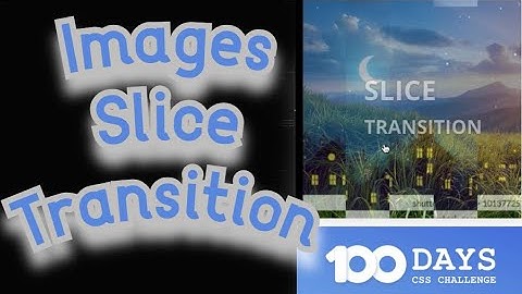 100 DAYS OF CSS Challenge