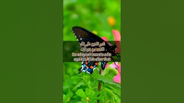 قرآن الكريم سورة آل عمران الآية 93The Holy Quran, Surah Al Imran, Verse 93 #قران_كريم #انقذوا_غزة