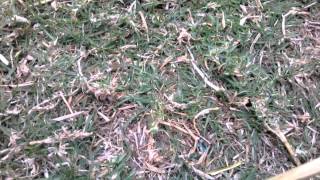 WP 20140129 008