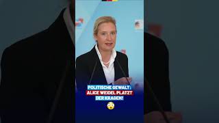 Alice Weidel richtet emotionalen Appell an politische Konkurrenten! - AfD-Fraktion im Bundestag