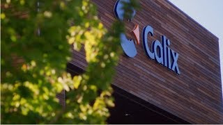 Working At Calix And Calix Careers
