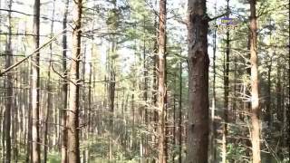 테마여행 길을 걷다 - Themeroad 20111015 # 003
