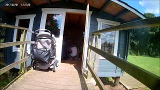 A Day In The Life Of A Pink Pig Farmer