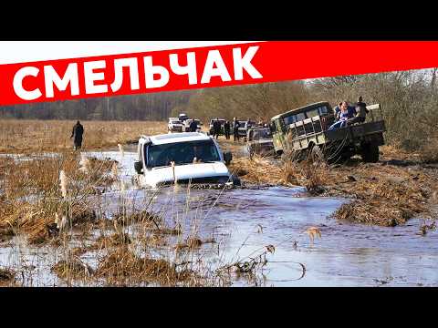 ПРОСТО ПСИХ! TANK 300 решил, что он бессмертный! Тяжелый весенний маршрут.