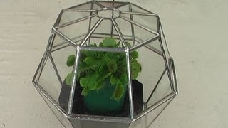 Build A Stained Glass Terrarium Using The Copper Foil Technique.