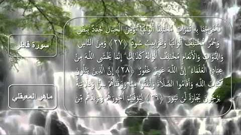 سورة فاطر كامله مكتوبه - الشيخ ماهر المعيقلي
