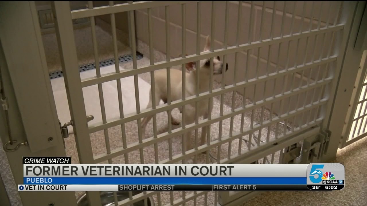 Former Pueblo Animal Shelter veterinarian back in court in January