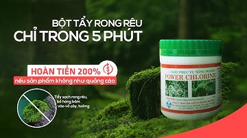 Tẩy rong rêu Power Chlorine siêu sạch trong 5 phút