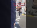 Belə şərəfsizlər olmasa….
