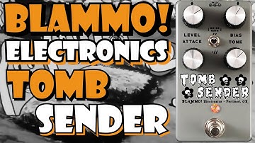 Harsh Tones || BLAMMO! Electronics Tomb Sender Fuzz || Vicious Tone Bender MKIII || Demo Video