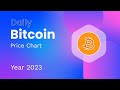 BITCOIN (BTC) Price Evolution (Daily/USD) 2023-2024 #crypto #bitcoin #pricechart