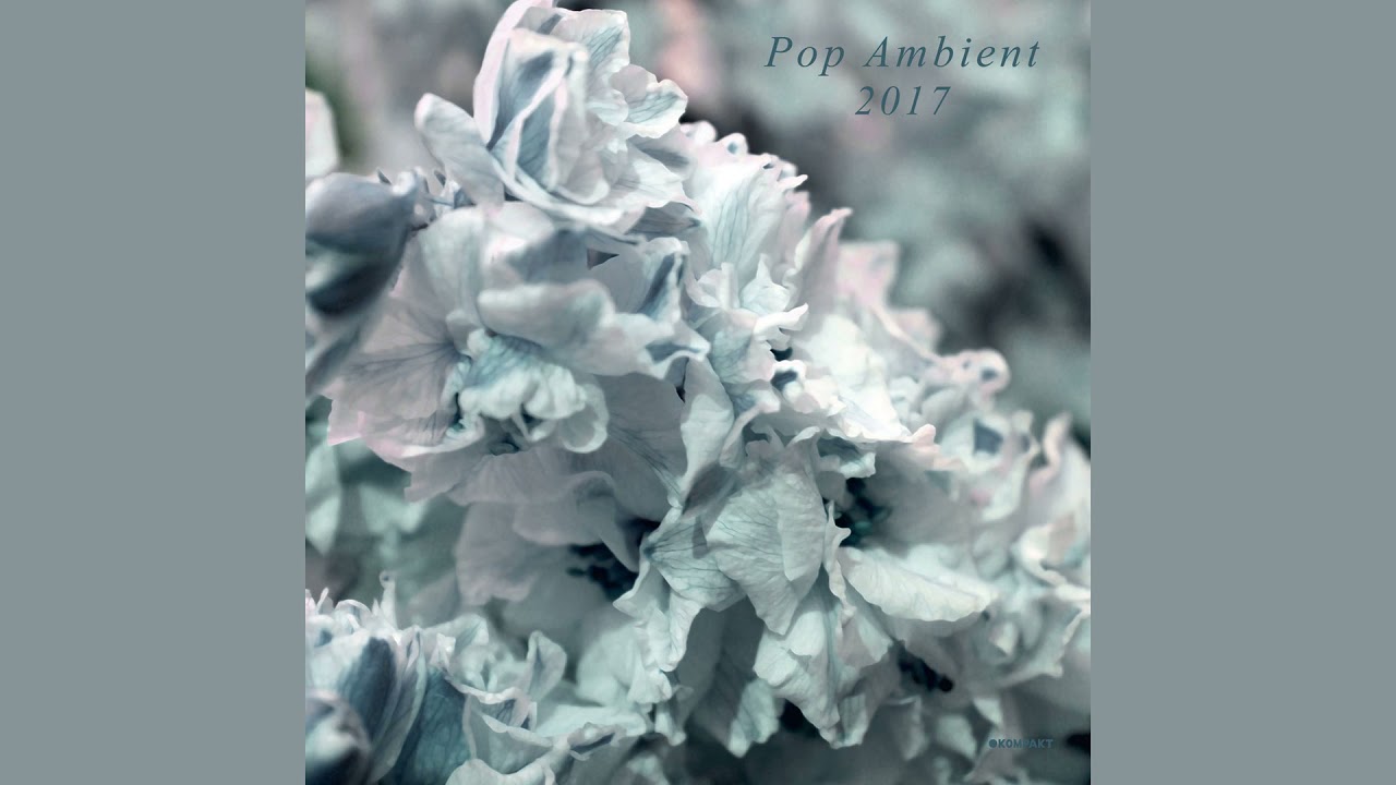 Pop Ambient 2017 (full album)