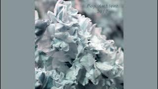 Pop Ambient 2017 (full album)
