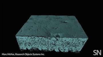 Up close, a chicken eggshell has a complex nanostructure | Science News