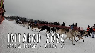 Iditarod 2024  We watched the official restart in Willow, Alaska