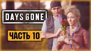 DAYS GONE #10 ☣️ - ЛЕКАРСТВО ДЛЯ БУХАРЯ И ПОХИЩЕНИЕ ЛИЗЫ УПОКОИТЕЛЯМИ - Жизнь После (2021)