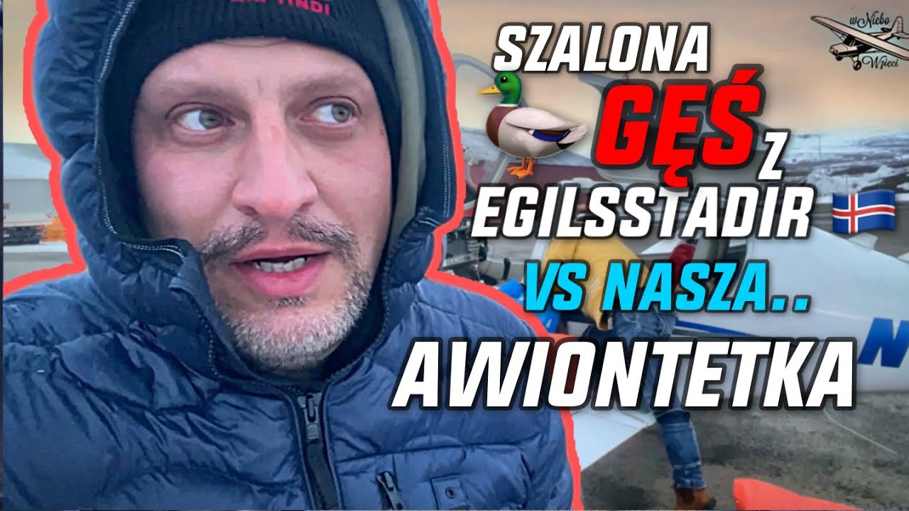 Gęś vs. Awionetka… 😅🫣 czyli lądowanie w Egilsstaðir, #islandia