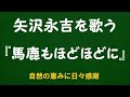 【矢沢永吉 全曲制覇への道 #002】『馬鹿もほどほどに』(1979年)を原曲キーで歌ってみました|高音質カバー