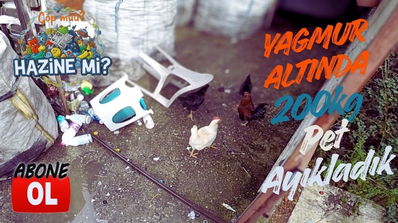 Yağmur Altında 200 KG PET Ayıkladık! 💦 Ne Kadar Kazandık?