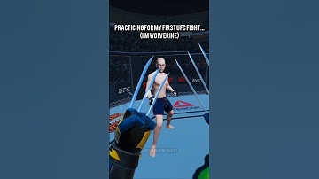 Crazy Blade and Sorcery VR Mods! - New Wolverine Mod #vr #bladeandsorcery #mods