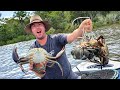 MUDCRAB CATCH and COOK Easter Feast! Giant Mud Crabs and a Traditional Boil Up!