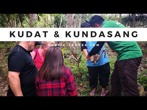 Kudat & Kundasang Escapades with Rustic Travel
