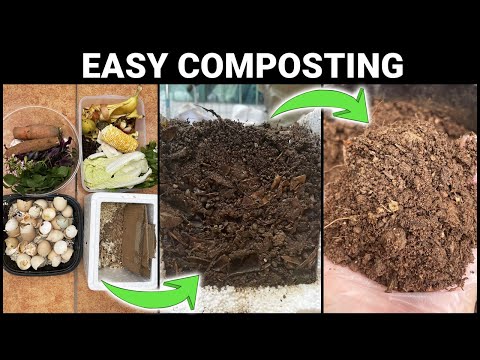 Video: Kompost üçün nə: Kompost qutusuna nə qoya bilərsiniz