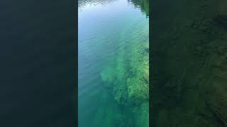 Хорошего дня, друг! • Походный кофе из диких мест • Жизнь в горах 🇨🇭