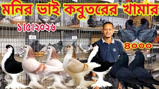 লাহোরি কবুতরের দাম জানুন ।। কিং কবুতরের দাম জানুন ।। মনির ভাই কবুতরের খামার
