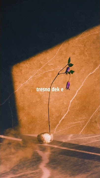 Happy Asmara - Sampun Lilo || Story Wa #fyp #storywa #happyasmara #sampunlilo #tiktok #tiktokvideo