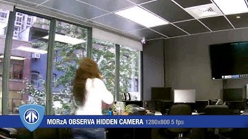 Actual Footage: MORzA Observa Hidden Camera