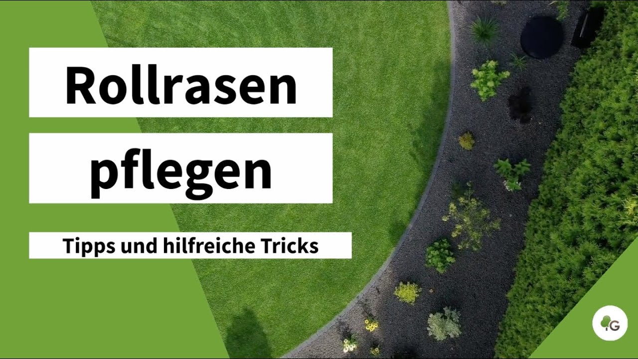 schafwolle als dünger ausbringen Schafwoll Dünger Pellets von Flora Boost – Natürlicher Nährstofflieferant  für gesunde Pflanzen main image 0