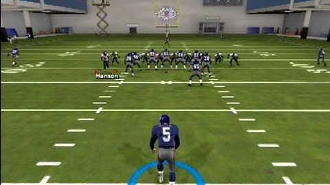 Madden 13 Punt Block