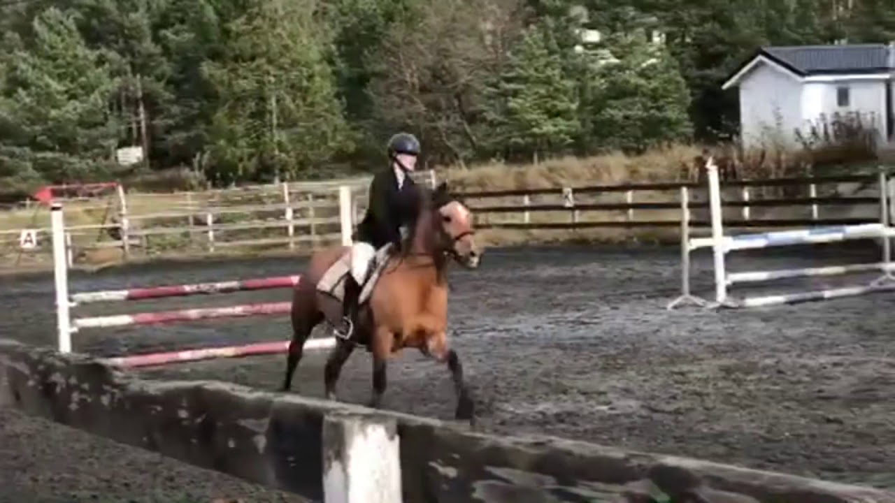 Stevnet på Brekka❤️