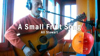 Small Fruit Song NewsicHome acoustic