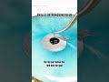 Sharing of Glue Picking Techniques for 3DWW LASH! #lashes #lashify #lashextensions #eyelashespng