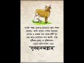 Islamic Halal Text Video Bangla #hafezmostakim5867 #halalvideo #foryourpage #islamicreminder #short