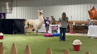 Hamilton County 4 H Fair