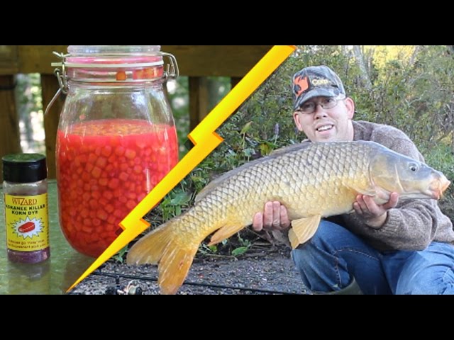 Super simple cheap carp bait - catch tons of carp with feed corn