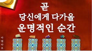 [타로]2021년 당신의 운명적인 순간#신년타로