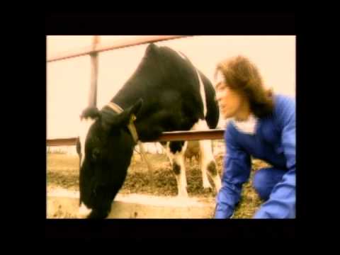 GARDEN 「はるか遠くに星が見えるなら」　PV 1997