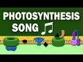 Photosynthesis Quiz