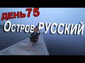 Выживание на острове Русский на велосипеде с палаткой. Приморский край. Путешествие на остров.