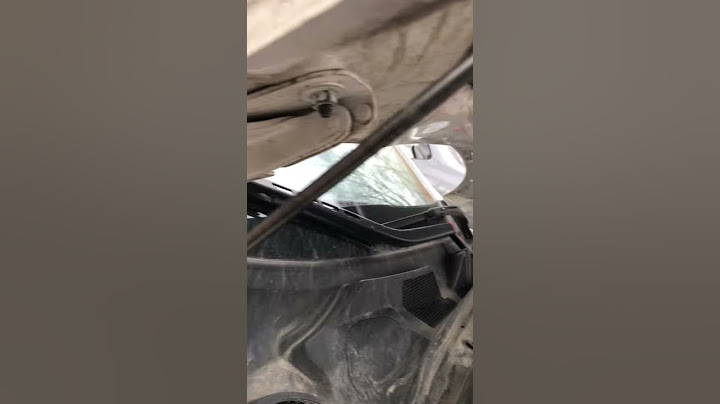 Ягуар капот