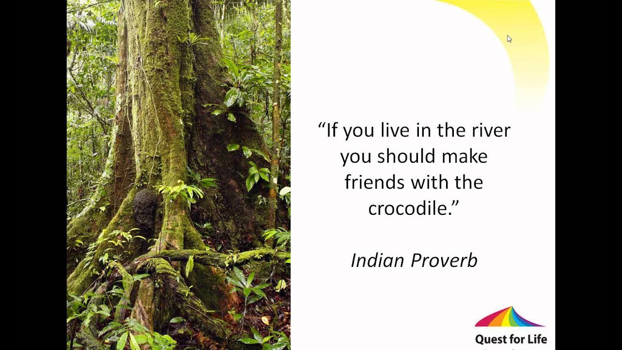 Heal Your Heart and Mind with Petrea King