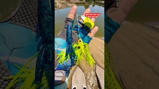 Tips setting Up a Buzzbait with a Log Father for Bass#fishing#viralvideo#shortvideo#youtubeshorts