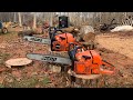 Head to Head Echo CS-590 Timberwolf Vs. CS-620-PW Chainsaw Review Ep. 25