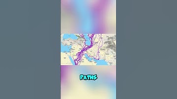 The Shocking Story Behind the Eagle with a GPS Tracker! 📡 #facts