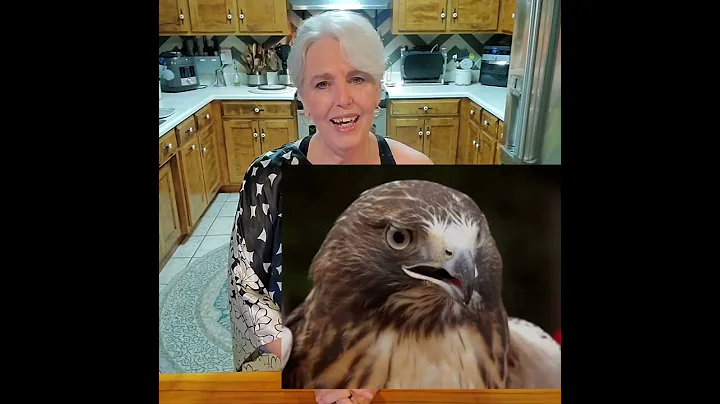 Vicki Shaw Hughes Talent Video for PC 2022 Confere...